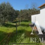 Quinta 3 quartos à venda em Grandola, Setubal - gallery image