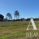 Quinta 3 quartos à venda em Grandola, Setubal - gallery image