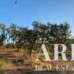 Terreno à venda em Cercal do Alentejo, Santiago do Cacem, Setubal - gallery image