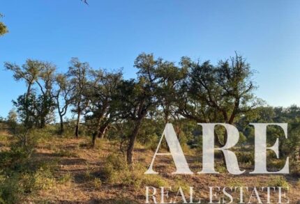 Terreno à venda em Cercal do Alentejo, Santiago do Cacem, Setubal