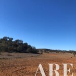 Terreno à venda em Cercal do Alentejo, Santiago do Cacem, Setubal - gallery image