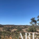 Terreno à venda em Cercal do Alentejo, Santiago do Cacem, Setubal - gallery image