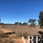 Terreno à venda em Cercal do Alentejo, Santiago do Cacem, Setubal - gallery image
