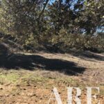 Terreno à venda em Cercal do Alentejo, Santiago do Cacem, Setubal - gallery image