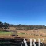 Terreno à venda em Cercal do Alentejo, Santiago do Cacem, Setubal - gallery image
