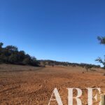 Terreno à venda em Cercal do Alentejo, Santiago do Cacem, Setubal - gallery image