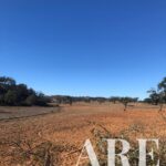 Terreno à venda em Cercal do Alentejo, Santiago do Cacem, Setubal - gallery image