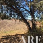 Terreno à venda em Cercal do Alentejo, Santiago do Cacem, Setubal - gallery image