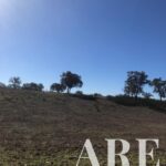 Terreno à venda em Cercal do Alentejo, Santiago do Cacem, Setubal - gallery image