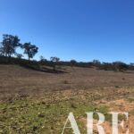 Terreno à venda em Cercal do Alentejo, Santiago do Cacem, Setubal - gallery image