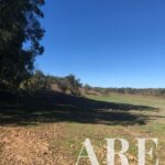 Terreno à venda em Cercal do Alentejo, Santiago do Cacem, Setubal - gallery image