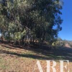 Terreno à venda em Cercal do Alentejo, Santiago do Cacem, Setubal - gallery image
