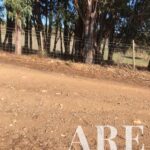 Terreno à venda em Cercal do Alentejo, Santiago do Cacem, Setubal - gallery image