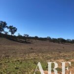Terreno à venda em Cercal do Alentejo, Santiago do Cacem, Setubal - gallery image
