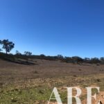 Terreno à venda em Cercal do Alentejo, Santiago do Cacem, Setubal - gallery image