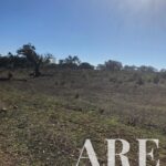 Terreno à venda em Cercal do Alentejo, Santiago do Cacem, Setubal - gallery image