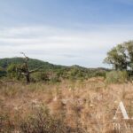 Terreno à venda em Santiago do Cacem, Setubal - gallery image
