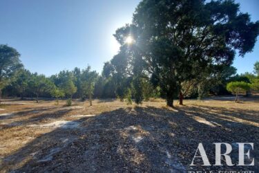 Terreno à venda em Lagoa de Santo André, Santiago do Cacem, Setubal