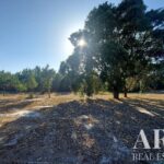 Terreno à venda em Lagoa de Santo André, Santiago do Cacem, Setubal - gallery image