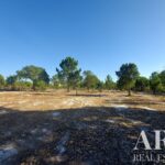Terreno à venda em Lagoa de Santo André, Santiago do Cacem, Setubal - gallery image