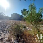 Terreno à venda em Lagoa de Santo André, Santiago do Cacem, Setubal - gallery image
