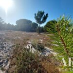 Terreno à venda em Lagoa de Santo André, Santiago do Cacem, Setubal - gallery image