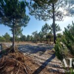 Terreno à venda em Lagoa de Santo André, Santiago do Cacem, Setubal - gallery image