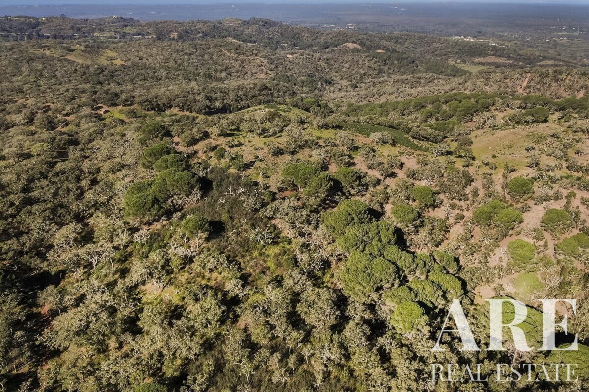 Terreno à venda em Grandola, Setubal • ARE32530