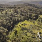 Terreno à venda em Grandola, Setubal - gallery image