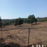 Terreno à venda em São Teotónio, Odemira, Beja • ARE28673 - gallery image