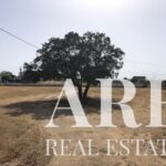 Terreno à venda em Palmela, Setubal - gallery image