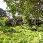 Moradia 6 quartos à venda em Birre, Cascais, Lisbon - gallery image