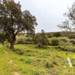 Moradia 3 quartos à venda em Mosteiros, Arronches, Portalegre - gallery image