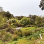 Moradia 3 quartos à venda em Mosteiros, Arronches, Portalegre - gallery image