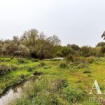 Moradia 3 quartos à venda em Mosteiros, Arronches, Portalegre - gallery image