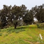 Moradia 3 quartos à venda em Mosteiros, Arronches, Portalegre - gallery image