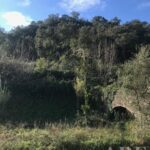 Moradia Estúdio à venda em Coimbra - gallery image