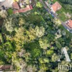 Quinta 9 quartos à venda em Sintra, Lisbon - gallery image