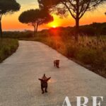 Moradia 3 quartos à venda em Sesimbra, Setubal &bull; ARE38374 - gallery image