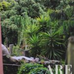 Mansão 5 quartos à venda em Oeiras, Lisbon - gallery image