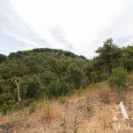 Quinta Estúdio à venda em Santiago do Cacem, Setubal - gallery image