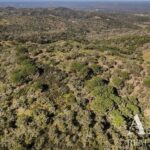 Plot for sale in Grandola, Setubal &bull; ARE32530 - gallery image