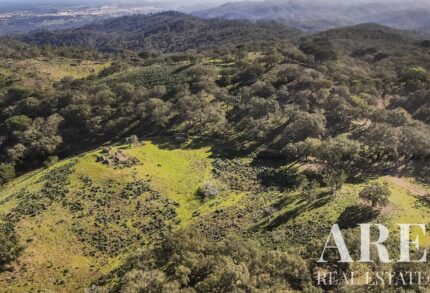 Plot for sale in Grandola, Setubal