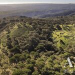 Plot for sale in Grandola, Setubal &bull; ARE32530 - gallery image