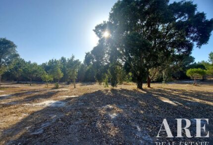 Plot for sale in Lagoa de Santo André, Santiago do Cacem, Setubal