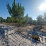 Plot for sale in Lagoa de Santo André, Santiago do Cacem, Setubal &bull; ARE31017 - gallery image