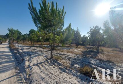 Plot for sale in Lagoa de Santo André, Santiago do Cacem, Setubal