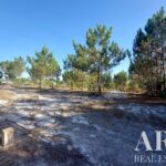 Plot for sale in Lagoa de Santo André, Santiago do Cacem, Setubal &bull; ARE31017 - gallery image