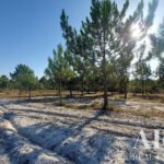 Plot for sale in Lagoa de Santo André, Santiago do Cacem, Setubal &bull; ARE31017 - gallery image