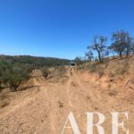 Plot for sale in São Bartolomeu da Serra, Santiago do Cacem, Setubal &bull; ARE31165 - gallery image